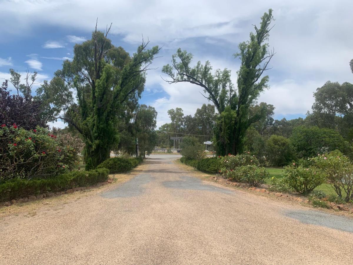 Newell Motor Inn Narrandera Exterior foto