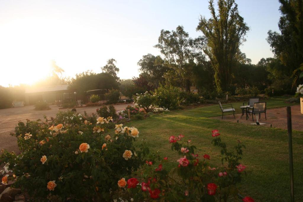 Newell Motor Inn Narrandera Exterior foto